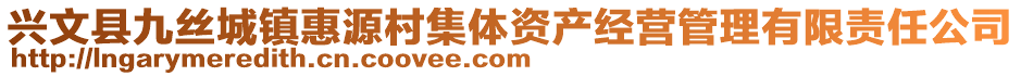 興文縣九絲城鎮(zhèn)惠源村集體資產(chǎn)經(jīng)營(yíng)管理有限責(zé)任公司