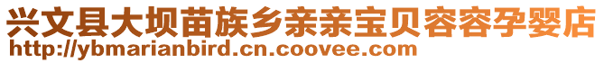 兴文县大坝苗族乡亲亲宝贝容容孕婴店