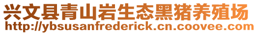 興文縣青山巖生態黑豬養殖場