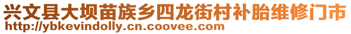 興文縣大壩苗族鄉(xiāng)四龍街村補(bǔ)胎維修門市