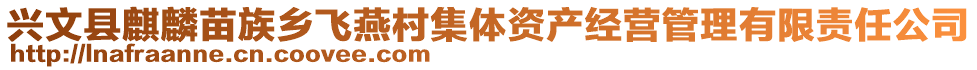 興文縣麒麟苗族鄉(xiāng)飛燕村集體資產(chǎn)經(jīng)營管理有限責(zé)任公司