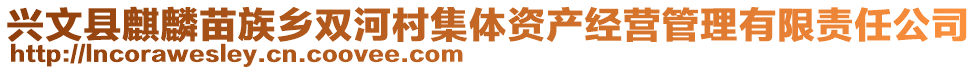 兴文县麒麟苗族乡双河村集体资产经营管理有限责任公司