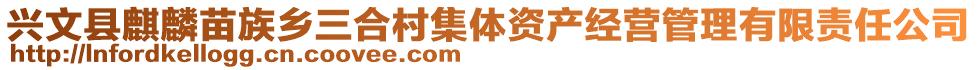 興文縣麒麟苗族鄉(xiāng)三合村集體資產(chǎn)經(jīng)營管理有限責(zé)任公司