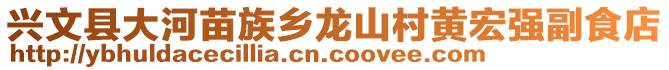 興文縣大河苗族鄉(xiāng)龍山村黃宏強(qiáng)副食店