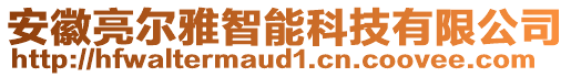 安徽亮爾雅智能科技有限公司