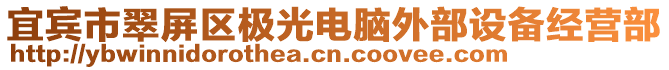 宜賓市翠屏區(qū)極光電腦外部設(shè)備經(jīng)營部