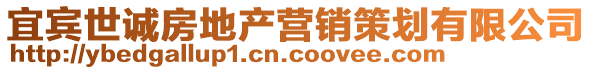 宜賓世誠房地產(chǎn)營銷策劃有限公司