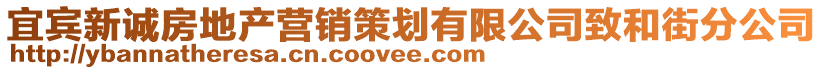 宜賓新誠房地產(chǎn)營銷策劃有限公司致和街分公司