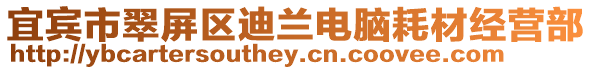 宜賓市翠屏區迪蘭電腦耗材經營部