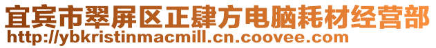 宜賓市翠屏區(qū)正肆方電腦耗材經(jīng)營部