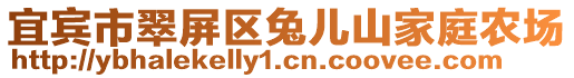 宜賓市翠屏區兔兒山家庭農場