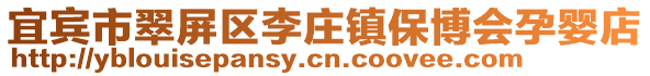 宜賓市翠屏區李莊鎮保博會孕嬰店