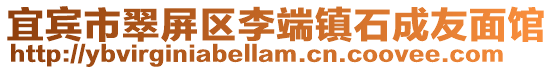 宜賓市翠屏區李端鎮石成友面館