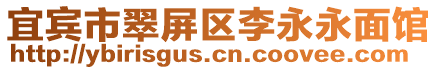 宜賓市翠屏區李永永面館