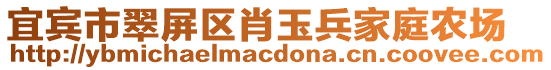 宜賓市翠屏區肖玉兵家庭農場