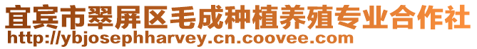 宜賓市翠屏區毛成種植養殖專業合作社