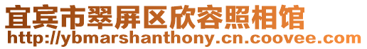 宜賓市翠屏區欣容照相館