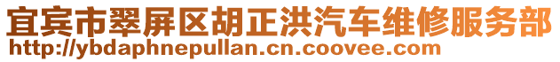 宜賓市翠屏區(qū)胡正洪汽車維修服務部