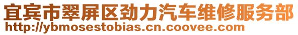 宜賓市翠屏區(qū)勁力汽車維修服務(wù)部