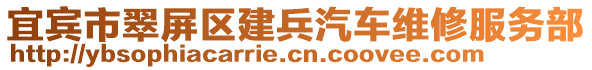 宜賓市翠屏區建兵汽車維修服務部