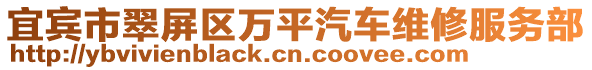 宜賓市翠屏區(qū)萬平汽車維修服務部