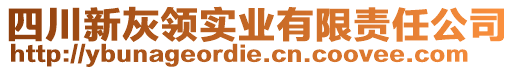 四川新灰领实业有限责任公司