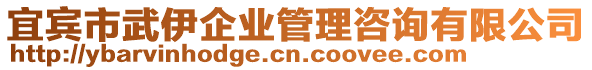 宜賓市武伊企業(yè)管理咨詢有限公司