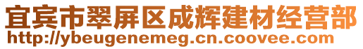 宜賓市翠屏區(qū)成輝建材經(jīng)營(yíng)部