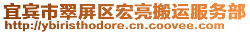 宜賓市翠屏區(qū)宏亮搬運服務部