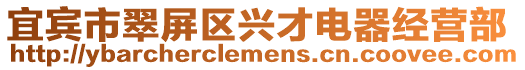 宜賓市翠屏區(qū)興才電器經(jīng)營部