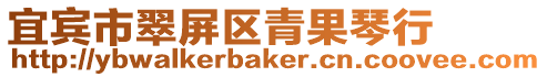 宜賓市翠屏區青果琴行