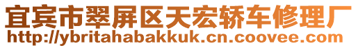 宜賓市翠屏區(qū)天宏轎車修理廠