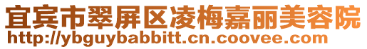宜賓市翠屏區凌梅嘉麗美容院