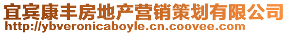 宜賓康豐房地產(chǎn)營(yíng)銷策劃有限公司