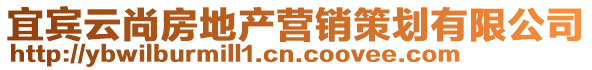 宜賓云尚房地產(chǎn)營(yíng)銷策劃有限公司