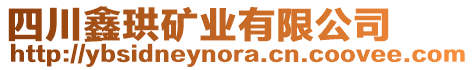 四川鑫珙礦業(yè)有限公司