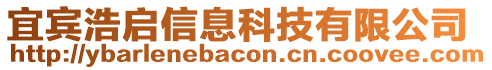 宜賓浩啟信息科技有限公司