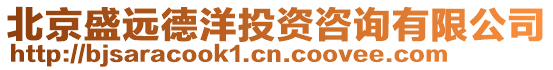 北京盛遠(yuǎn)德洋投資咨詢(xún)有限公司