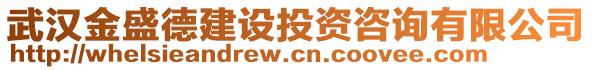 武漢金盛德建設(shè)投資咨詢有限公司