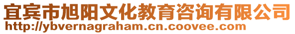 宜賓市旭陽文化教育咨詢有限公司