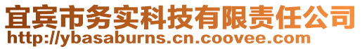 宜賓市務(wù)實(shí)科技有限責(zé)任公司