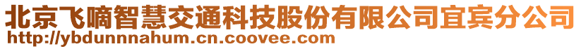 北京飛嘀智慧交通科技股份有限公司宜賓分公司