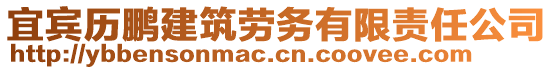 宜宾历鹏建筑劳务有限责任公司