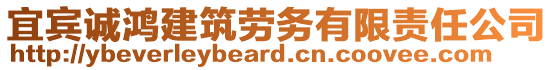 宜賓誠鴻建筑勞務(wù)有限責(zé)任公司