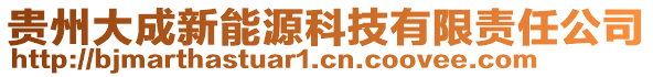 貴州大成新能源科技有限責(zé)任公司