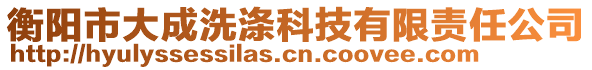 衡陽市大成洗滌科技有限責(zé)任公司