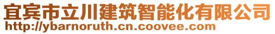 宜賓市立川建筑智能化有限公司