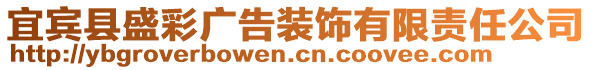 宜賓縣盛彩廣告裝飾有限責(zé)任公司