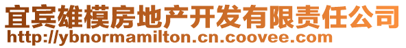 宜賓雄模房地產(chǎn)開發(fā)有限責(zé)任公司