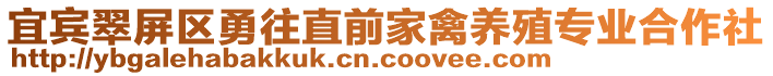 宜賓翠屏區(qū)勇往直前家禽養(yǎng)殖專業(yè)合作社